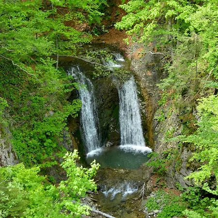 Davca * Cerkno