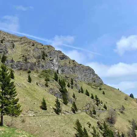 Davca Holiday home Cerkno