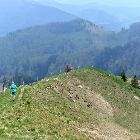 Davca Cerkno