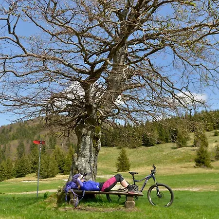 Davca * Cerkno