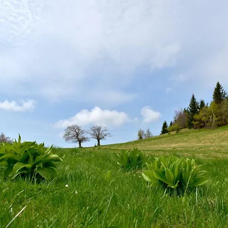 Holiday home Davca Cerkno