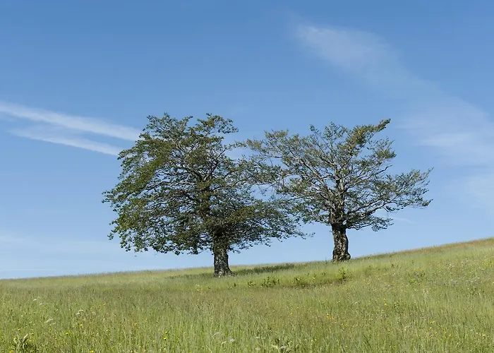 Vakantiehuis Davca Cerkno