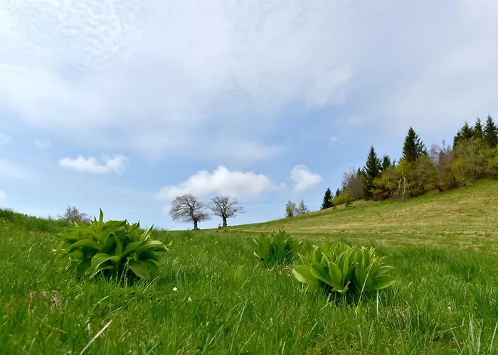 Vakantiehuis Davca Cerkno